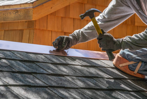 Best Roof Insulation Installation  in Hettinger, ND