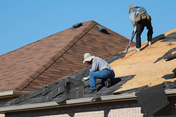 Best Roof Installation  in Hettinger, ND