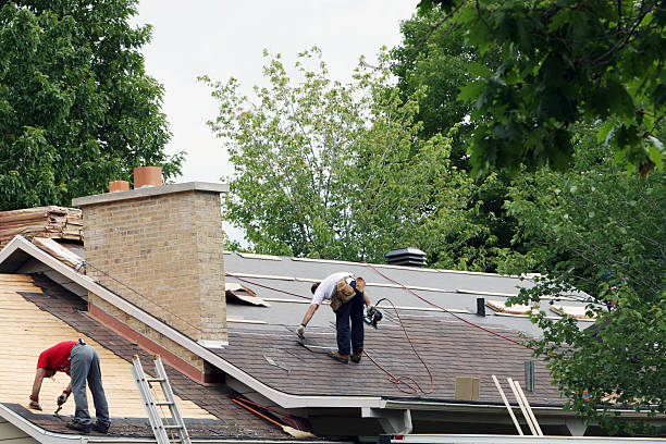 Best Roof Moss and Algae Removal  in Hettinger, ND